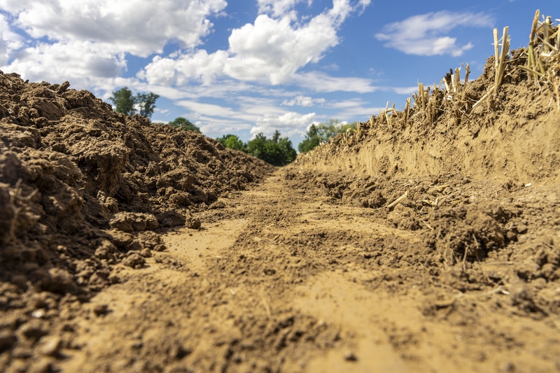 Обработка почвы после уборки урожая