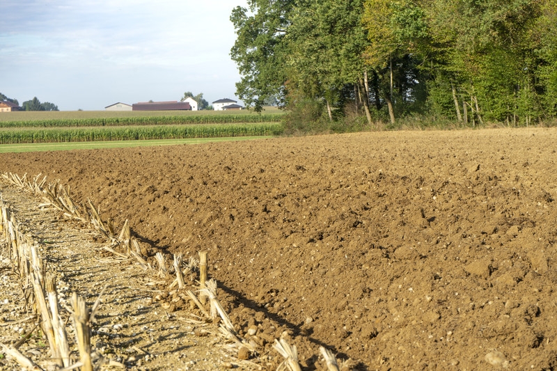 Подготовка почвы для посадки