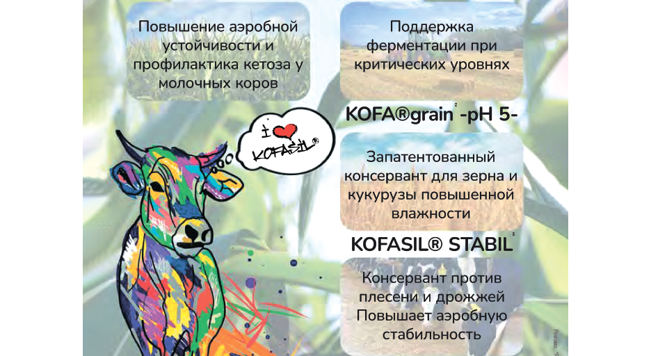 Рецепты от профессионалов