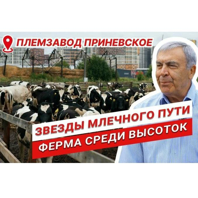 Залог успеха — в синергии. Как партнерство «Агромарки» и ЗАО «Приневское» способствует развитию.
