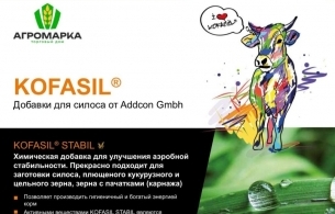 KOFASIL STABIL — надёжный консервант для качественного силоса