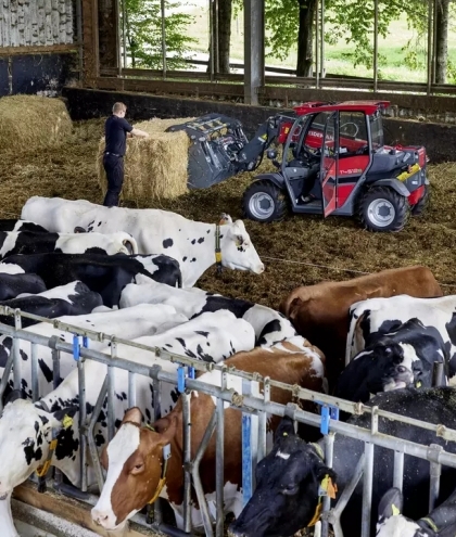 Телескопический погрузчик Weidemann T4512e